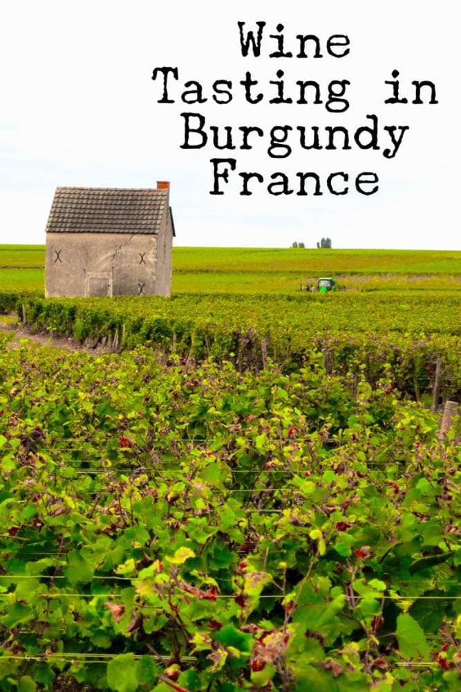 Pinterest image: image of Burgundy with caption ‘Wine Tasting in Burgundy France’