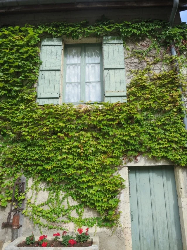 Window in the Vines in Burgundy France
