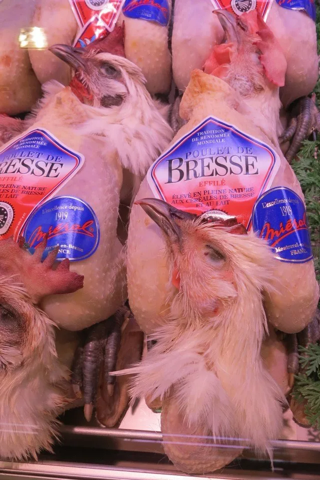 Bresse Chickens in Lyon France