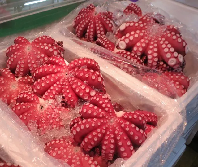 Octopus at Tsukiji Market in Tokyo Japan