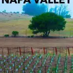 Pinterest image: image of vineyard with caption reading ‘Wine Tasting in Napa Valley’