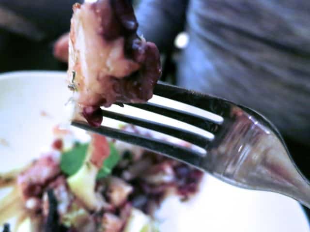 Octopus on the Fork