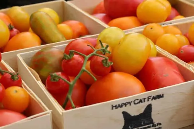 Tomatoes from Happy Cat Farm at Headhouse Farmer's Market in Philadelphia Pennsylvania
