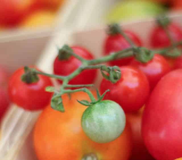Tomatoes from Headhouse Farmers Market in Philadelphia Pennsylvania