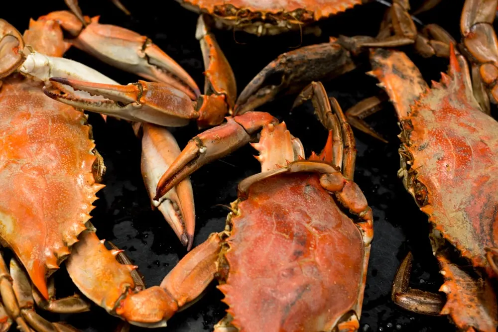 Blue Crabs - What to Eat in Lake Charles Louisiana - A Lake Charles Food Guide