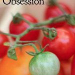 Pinterest image: image of tomatoes with caption ‘Tomato Obsession’