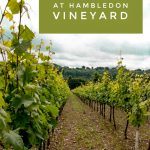 Pinterest image: image of winery with caption ‘English Sparkling Wine at Hambledon Vineyard’