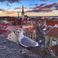 Bird's Eye View of Tallinn Estonia