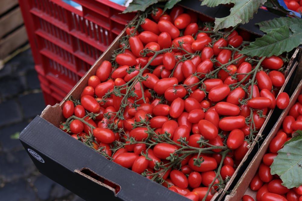 Tomato Cart in Naples Italy