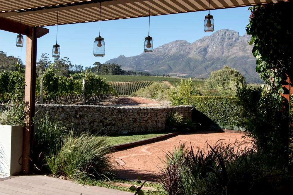 Tasting Room at Glenelly Estate in Stellenbosch South Africa