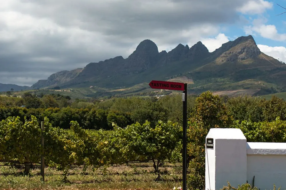 Cape Winelands Mountain View in South Africa