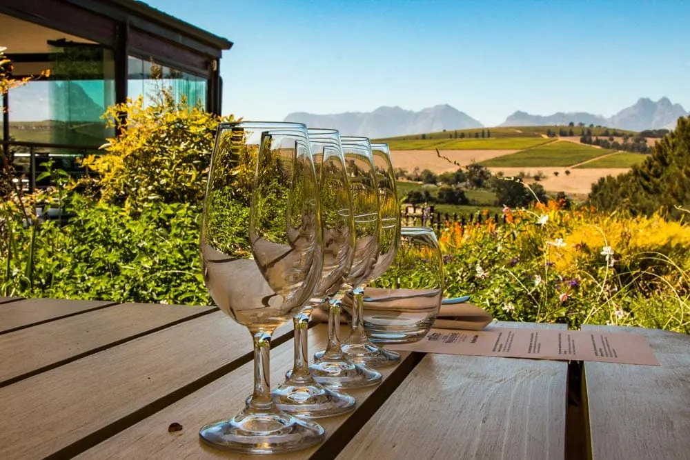 Clos Malverne Wine Farm in Stellenbosch South Africa