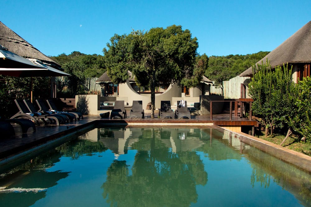 Pool at Thanda Safari in South Africa