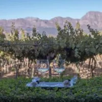 Wine with a View at Grande Roche Hotel in Paarl South Africa