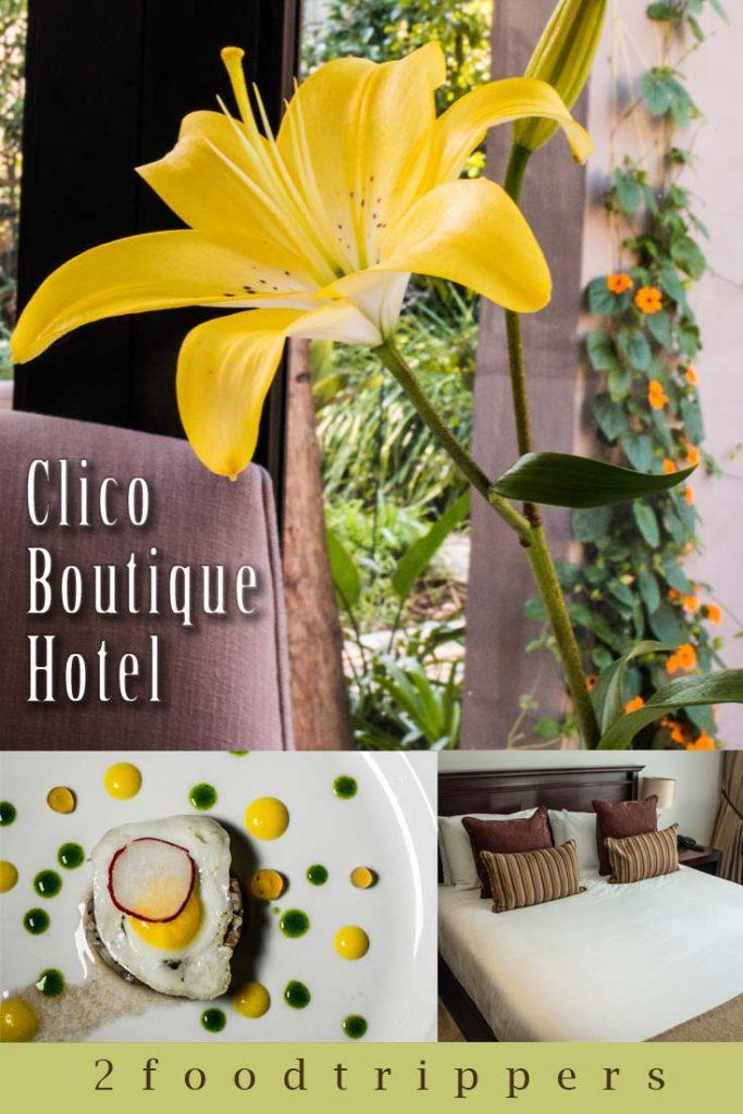 Pinterest image: image of flower with caption reading ‘Clico Boutique Hotel’