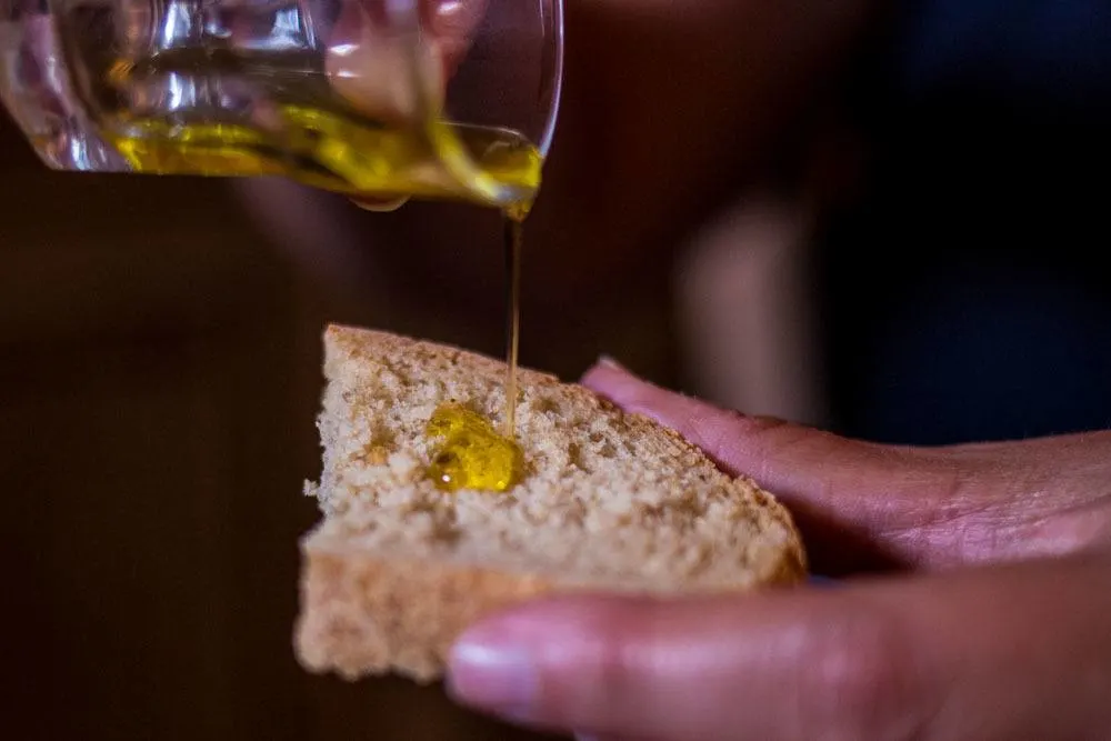 Olive Oil Tasting at Donnalivia in Emilia Romagna
