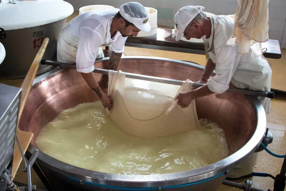 Parmigiano Reggiano Cheese Bath in Emilia Romagna