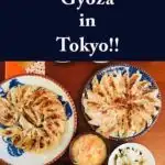 Pinterest image: image of Japanese food with caption reading 'Learn to Cook Gyoza in Tokyo!!'