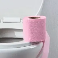 Toilet and Toilet Paper