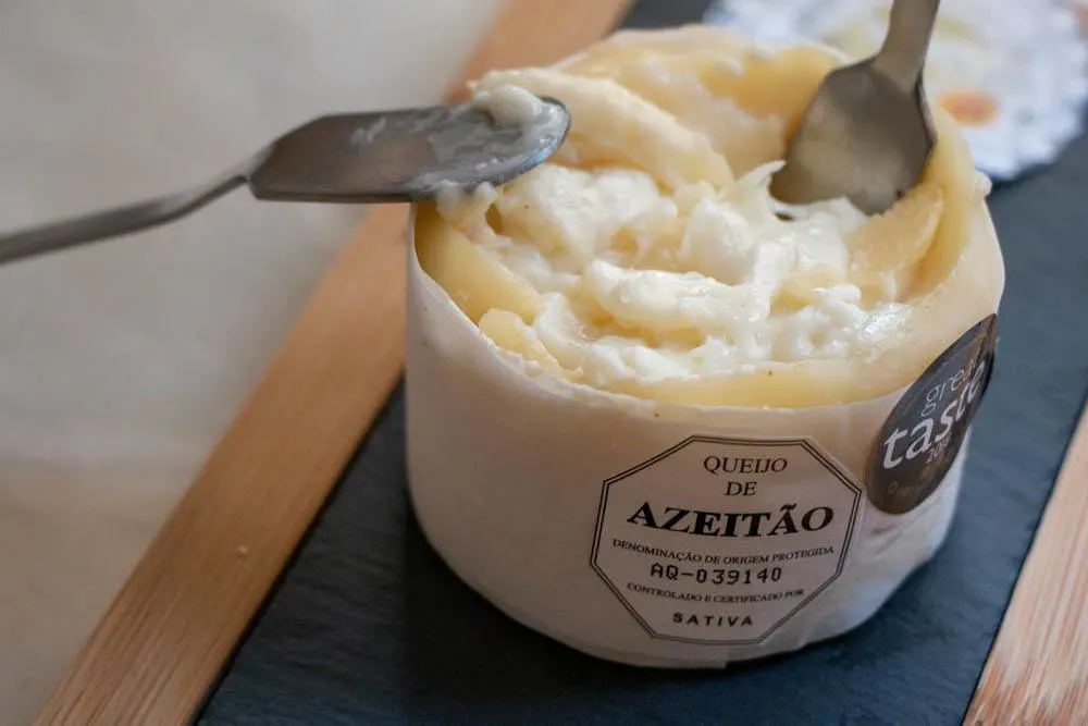 What to eat in Lisbon - Azeitao Cheese