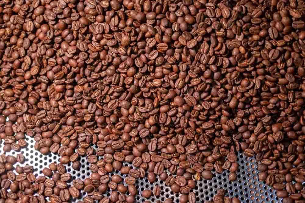 Coffee Beans at elbgold Rostkaffee in Hamburg Germany