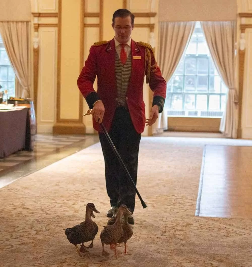 Duck Parade at the Peabody Hotel in Memphis