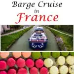 Pinterest image: images of Burgundy with caption reading 'Barge Cruise in France'