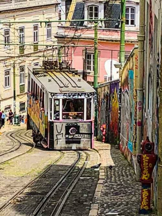 Where to Eat in Lisbon