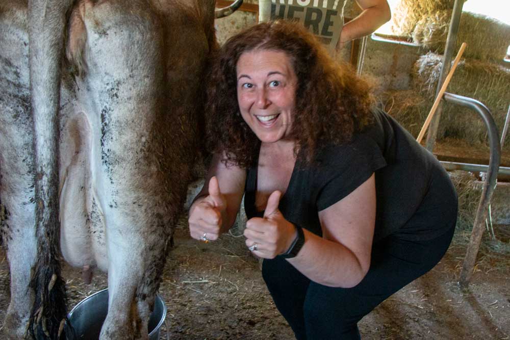 Milking a Cow in Trentino