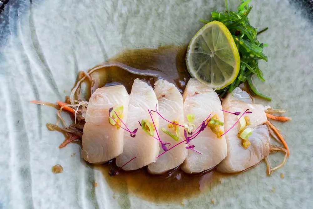 Seared Albacore Tuna at Nami Sushi on Nieuw Statendam Holland America Norway Cruise