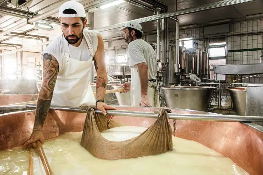 Tattooed Cheesemaker at Latteria Sociale S.Stefano in the Food Valley
