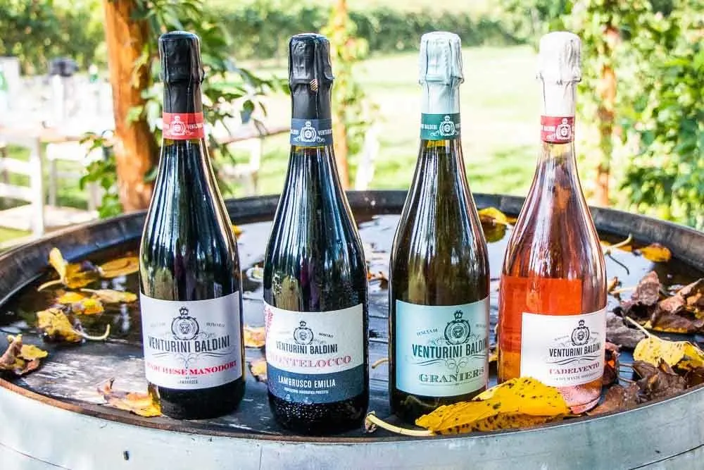 Wine Bottles at Tenuta Venturini Baldini in the Food Valley