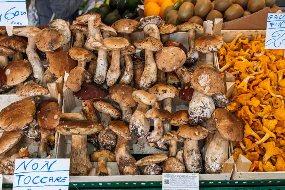 Mushrooms at Mercato Albinelli in Modena