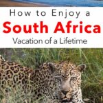 Pinterest image: two images of South Africa with caption reading 'How to Enjoy a South Africa Vacation of a Lifetime'