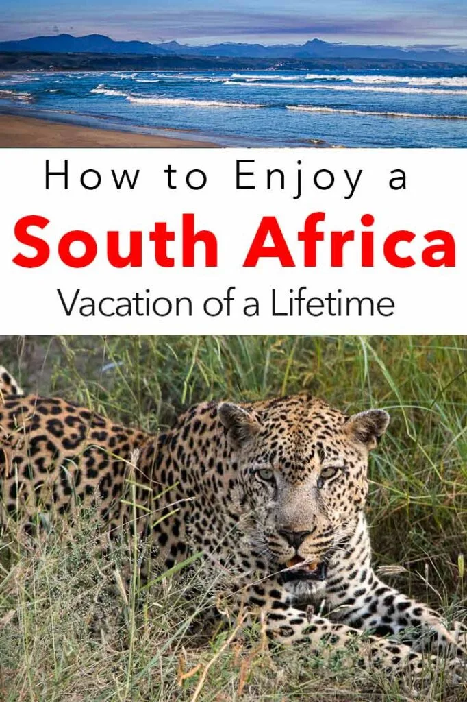 Pinterest image: two images of South Africa with caption reading 'How to Enjoy a South Africa Vacation of a Lifetime'