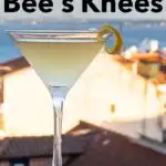 Pinterest image: image of Bees Knees cocktail with caption reading 'How to Make a Bee's Knees'