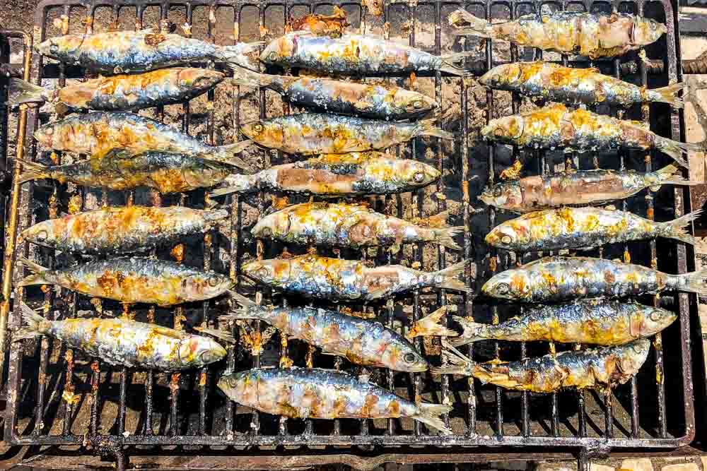 Sardinhas - Grilled Sardines in Portugal