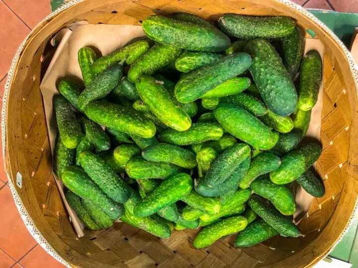Pickles in Vilnius