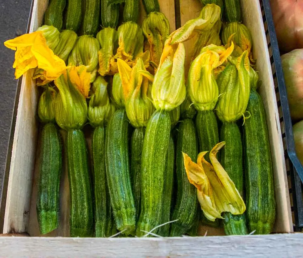 Squash Blossoms at Sant Ambrogio Market in Florence