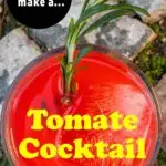 Pinterest image: image of Tomate cocktail with caption reading 'How to Make a Tomate Cocktail'