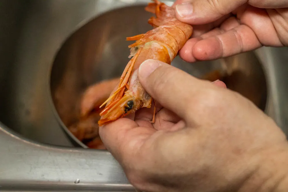 Cleaning Shrimp