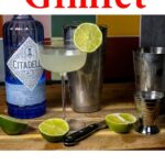 Pinterest image: gin gimlet with caption reading 