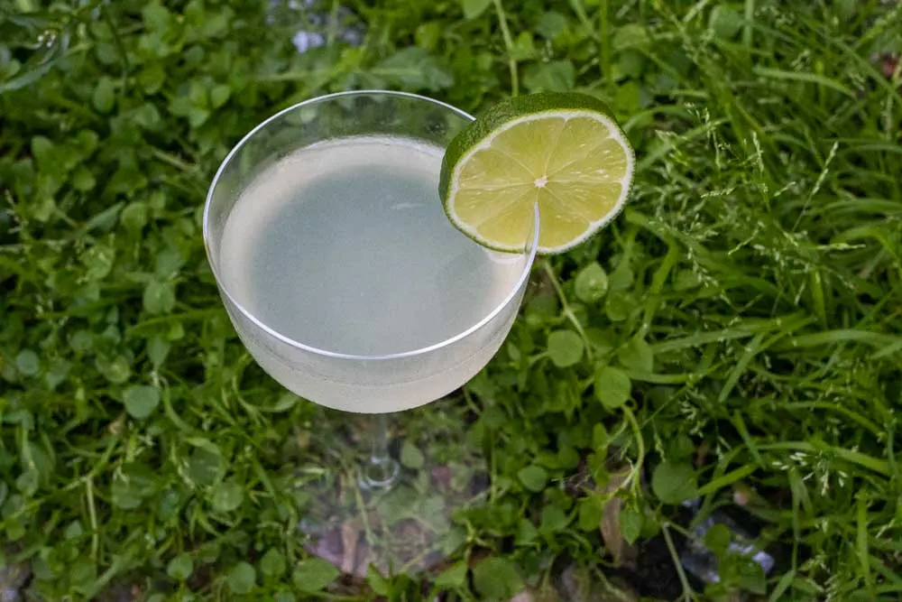 Gin Gimlet with Lime on Grass