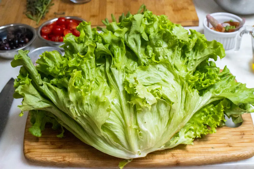Head of Romaine Lettuce for Nicoise Salad