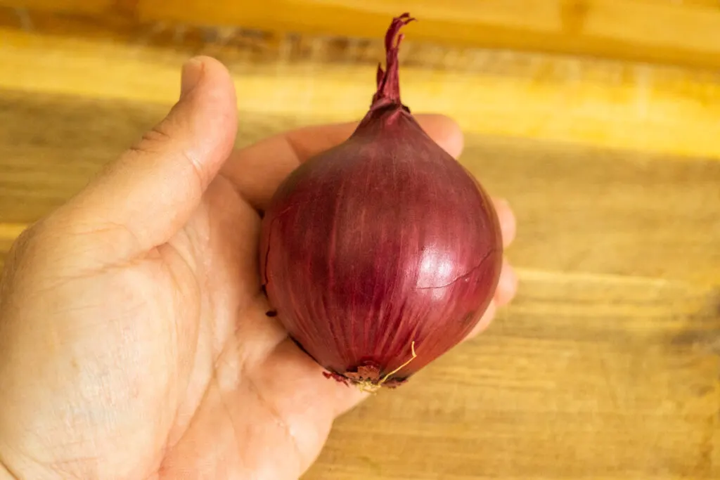 Raw Unpeeled Red Onion