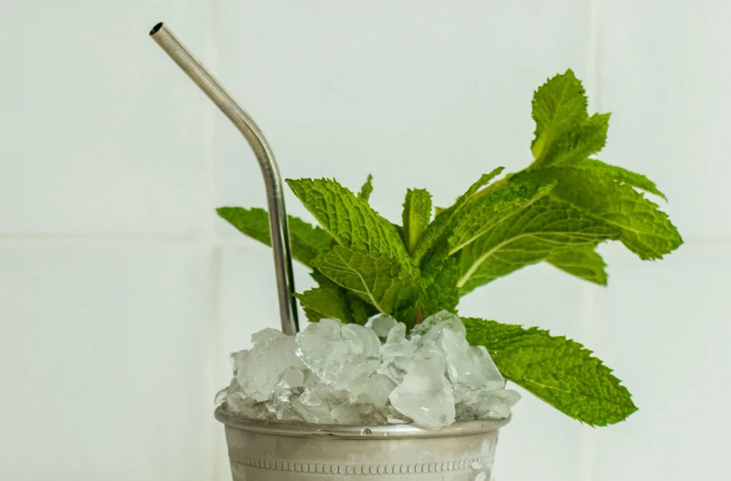 Top of a Mint Julep with Ice, Straw and Mint