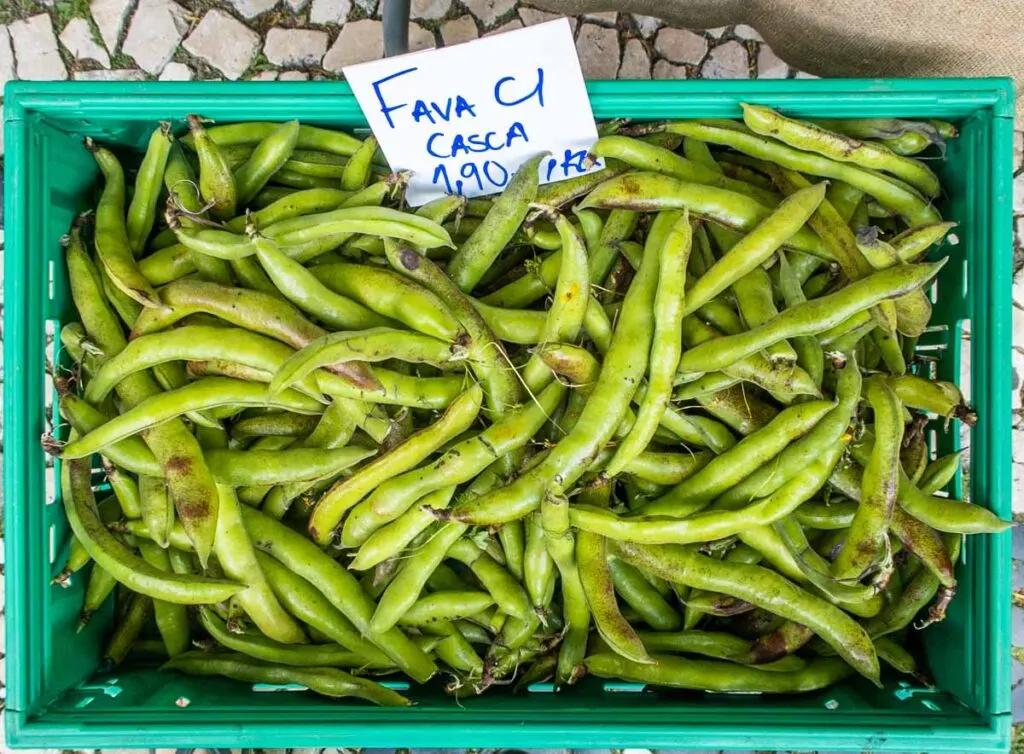 Fava Beans at Mercado Sao Paulo in Lisbon