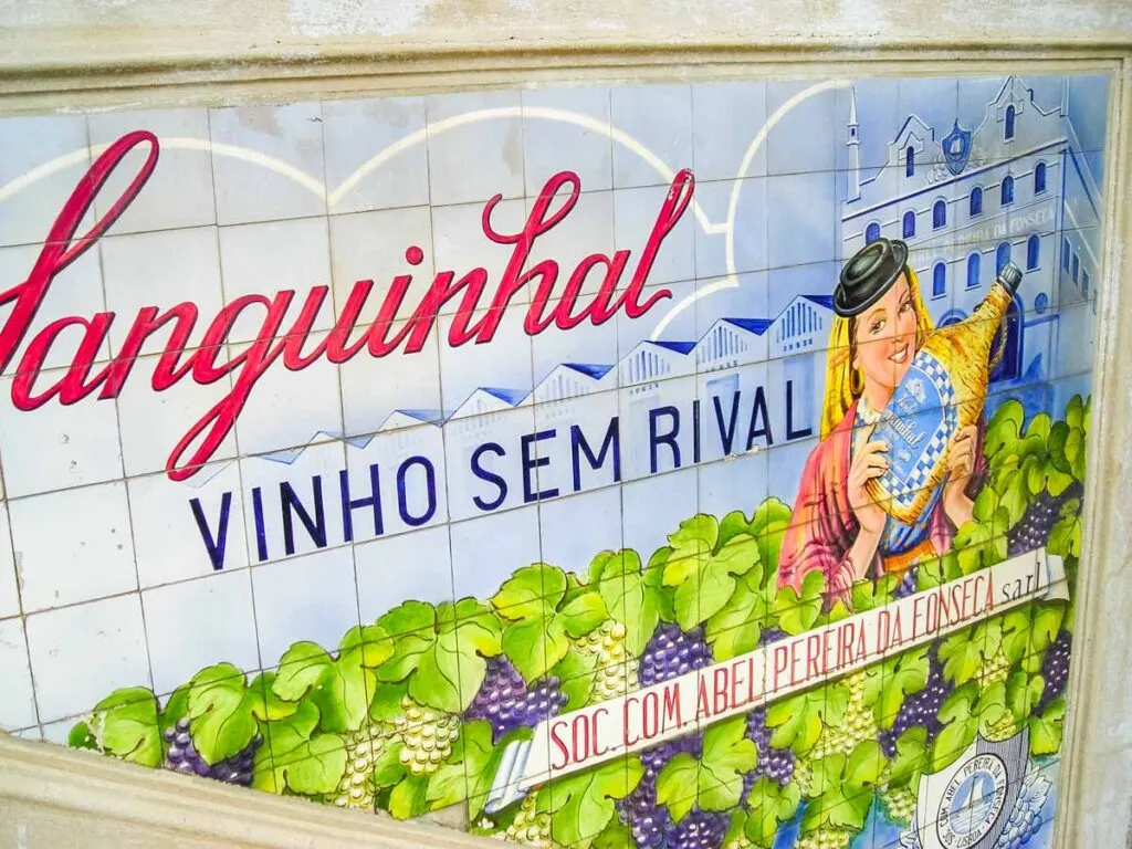 Sanguinhal Wine Art at the Mercado Bolhao