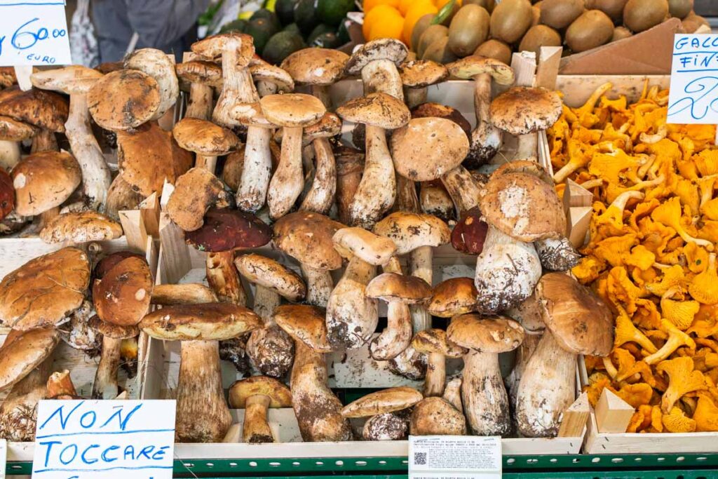 Porcini Mushrooms at Mercato Albinelli in Modena