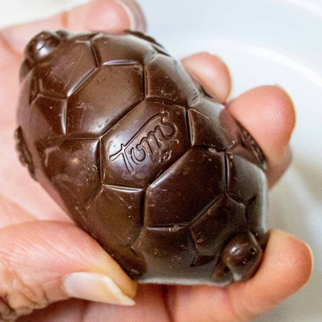 Toms Chocolate Turtle